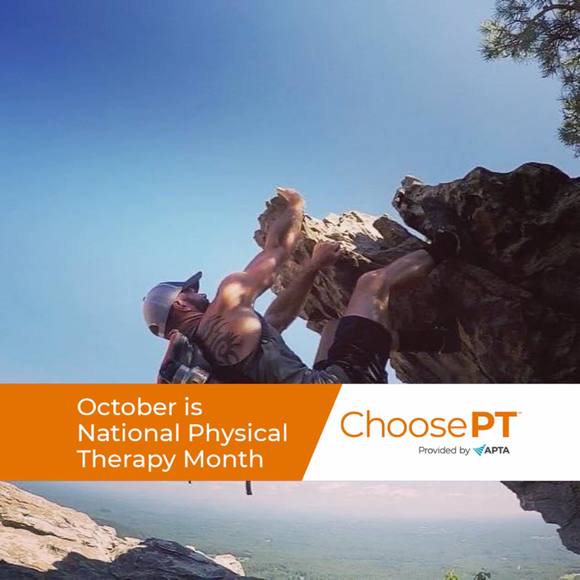 Meet your Posher, Joey - Picture 1 of 1